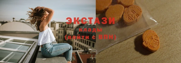 гидра Болотное