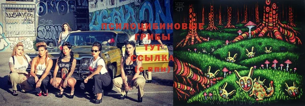 кокс Нефтекумск