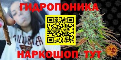 тгк Гай