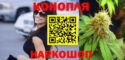 мдпв Гагарин