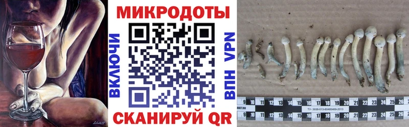 Галлюциногенные грибы Psilocybine cubensis  Крымск 