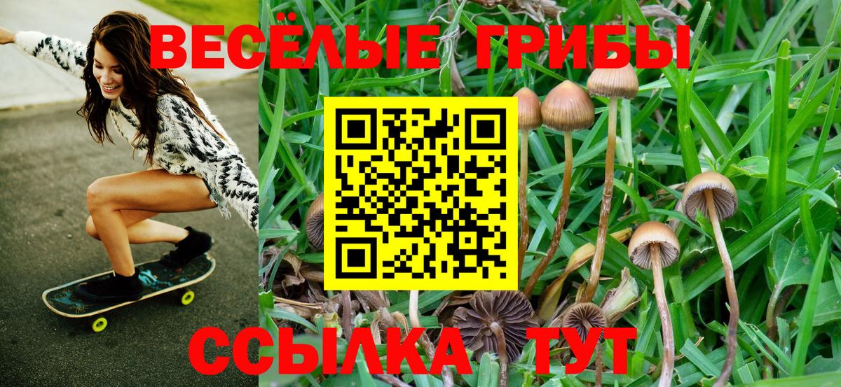 Галлюциногенные грибы мухоморы  Псилоцибиновые грибы Cubensis  Крымск  Вход с VPN 