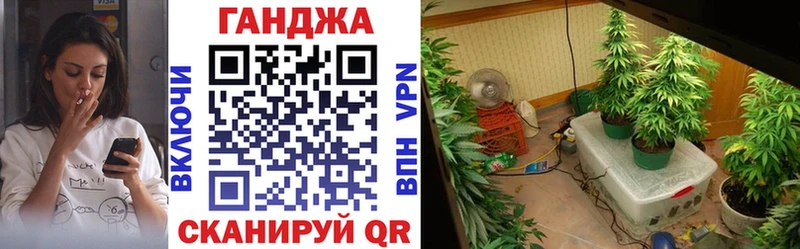 Бошки марихуана планчик  как найти наркотики  Крымск 